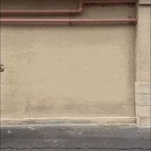 a person standing in front of a wall with pink pipes hanging from it