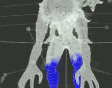 a computer generated image of a monster 's legs and arms .