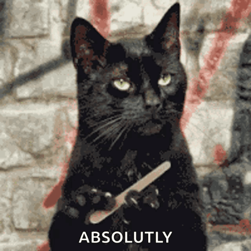 a black cat is holding a nail file in front of a brick wall with the word absolutely below it