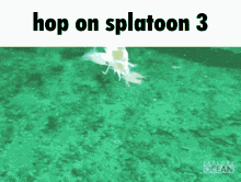 Splatoon3 Hop On GIF - Splatoon3 Hop On Squid GIFs
