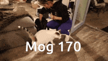 Mogcat 170 GIF - Mogcat Mog 170 GIFs