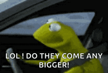 The Muppets Television GIF