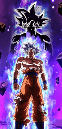 Ultra Instinct GIFs