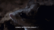 a close up of a cat with its mouth open and the words `` lonely im mister lonley '' written below it .