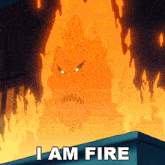 i am fire fire beavis and butt head my name is fire introduction