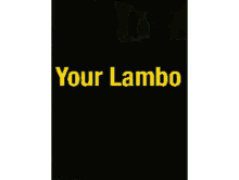 Your Lambo Lambo GIF - Your Lambo Lambo Cryptocurrency GIFs