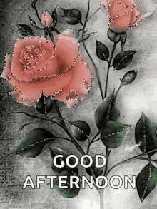 Good Afternoon GIF - Good Afternoon Sparkles GIFs