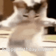 Melina Mélina GIF - Melina Mélina Birthday GIFs