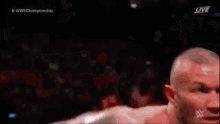 Randy Orton Rko GIF - Randy Orton Rko Table GIFs