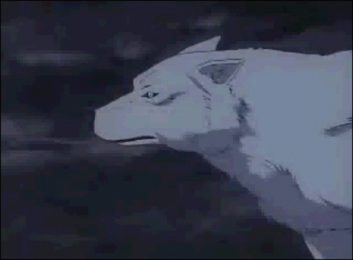 Anime Wolf GIF - Anime Wolf Run - Discover & Share GIFs