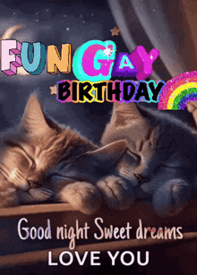 two kittens sleeping on a window sill with the words " good night sweet dreams love you "
