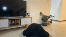 a person laying on the floor in front of a tv