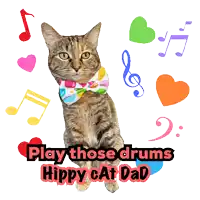 a cat wearing a bow tie is surrounded by music notes and hearts and says play those drums hippy cat dad