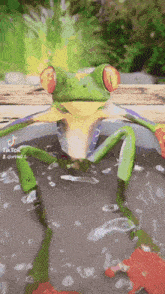 Frog Frogs GIF - Frog Frogs Lion Sleeps GIFs