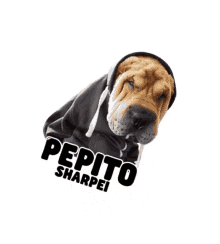 Pepitosharpei Dog GIF