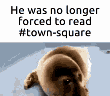 everneth no longer forced to read town square happy seal kathi gif