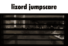 The Lizard Jumpscare GIF