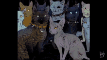 Warrior Cats Cats GIF - Warrior Cats Cats Fight GIFs