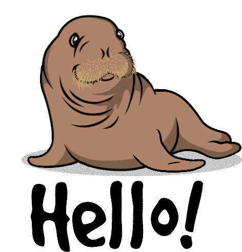 Seal Hello Sticker - Seal Hello Waving Stickers