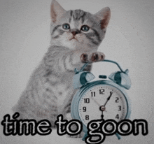 a kitten is holding an alarm clock and the words time to goon are below it
