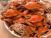 a bunch of crabs are in a basket with a plant in the background