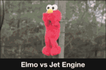 Funny Elmo GIF - Funny Elmo Laugh GIFs