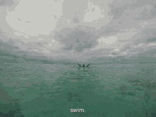a person is swimming in a body of water with the words swim below them