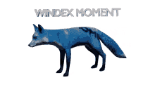 windex moment windex moment fox blue
