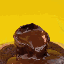 a round pan filled with a brown substance on a yellow surface