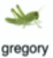 a grasshopper is flying in the air with the word gregory in the background .