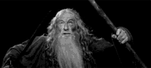 Lord Of The Rings Lotr GIF - Lord Of The Rings Lotr Gandalf GIFs