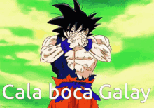 Goku Anime GIF - Goku Anime Cala Boca GIFs