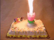 Happy Birthday Cake On Fire GIFs