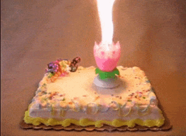 Blowing Out Birthday Candles Makes the Cake Taste Better | Smart News|  Smithsonian Magazine