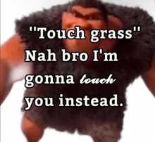 a picture of a stuffed animal with a caption that says " touch grass "
