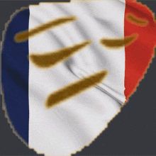 France Pensive GIF