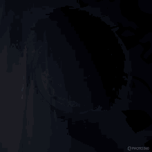 a drawing of a lion with a crown in a circle on a black background