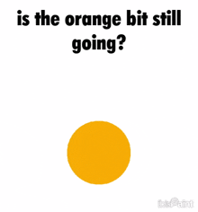 a white background with a yellow circle and the words is the orange bit still going