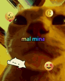 Mal Mina GIF - Mal Mina GIFs