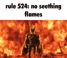 a picture of a man standing in front of a fire with the words rule 524 : no seething flames .