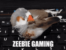 Zeebie Gaming GIF - Zeebie Gaming Zeebie Gaming GIFs