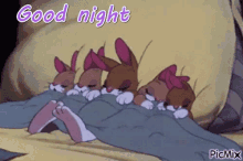Good Night Sweet Dreams GIF - Good Night Sweet Dreams Sleeping GIFs