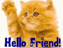 Waving Hello Friend GIF - Waving Hello Friend Kitty GIFs