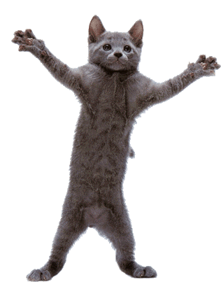 Funny Cat Sticker - Funny Cat Dance Stickers