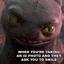 a picture of toothless from how to train your dragon with the caption " when you 're taking an id photo