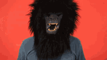 a man wearing a gorilla mask with a blue shirt