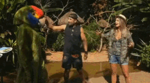 a man in a parrot costume stands next to a woman in shorts