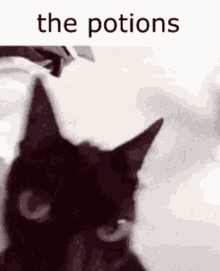 The Potions GIF