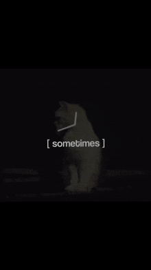 a close up of a cat with the words i forgot