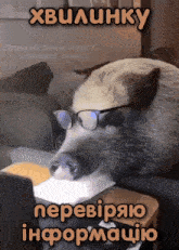 a pig wearing glasses is sitting in front of a laptop with the words " xbulunky " above it